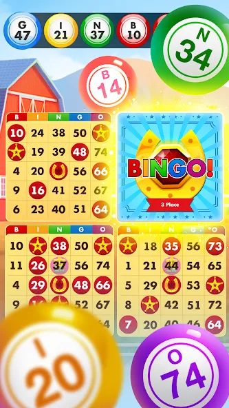 Взлом Bingo Country Boys: Tournament (Бинго Кантри Бойз)  [МОД Много монет] — полная версия apk на Андроид screen 2