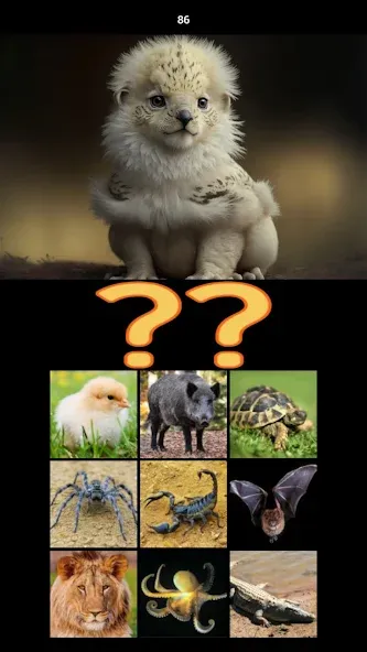 Взломанная Hybrid Animals Crazy Lab Quiz (Хибридные животные Сумасшедшая лаборатория Викторина)  [МОД Много монет] — стабильная версия apk на Андроид screen 5