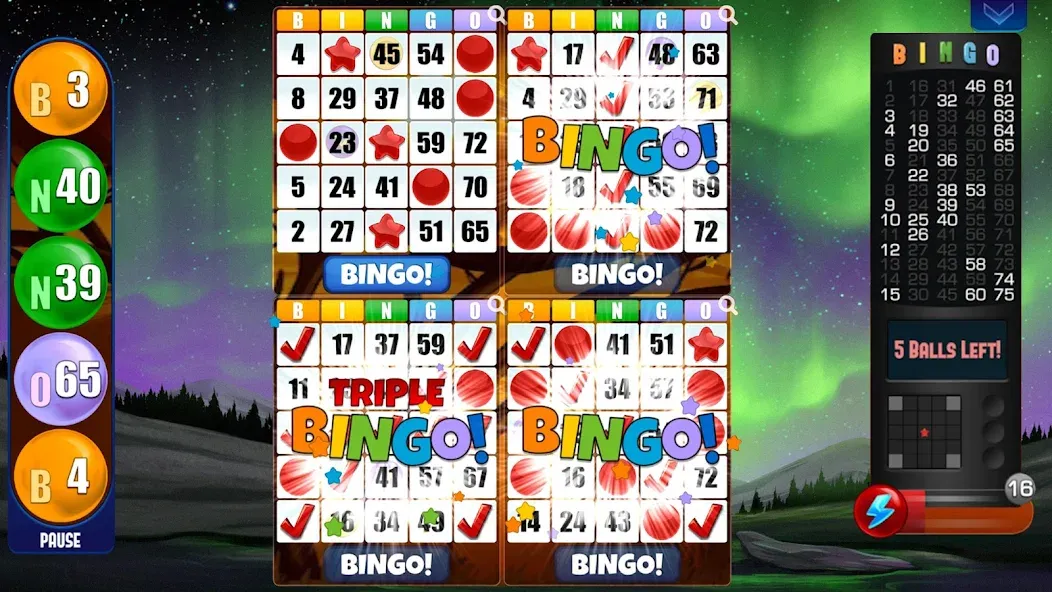 Скачать взлом Absolute Bingo  [МОД Бесконечные деньги] — последняя версия apk на Андроид screen 2