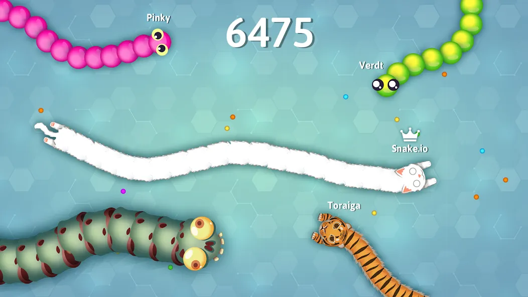 Скачать взломанную Snake.io — Fun Snake .io Games  [МОД Mega Pack] — стабильная версия apk на Андроид screen 5