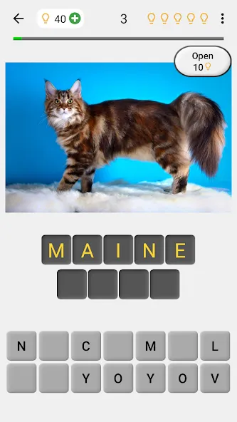 Взломанная Cats Quiz Guess Popular Breeds  [МОД Бесконечные деньги] — полная версия apk на Андроид screen 1