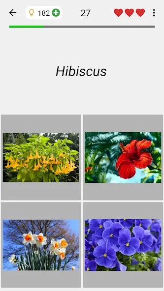 Скачать взломанную Flowers Quiz — Identify Plants  [МОД Mega Pack] — стабильная версия apk на Андроид screen 4