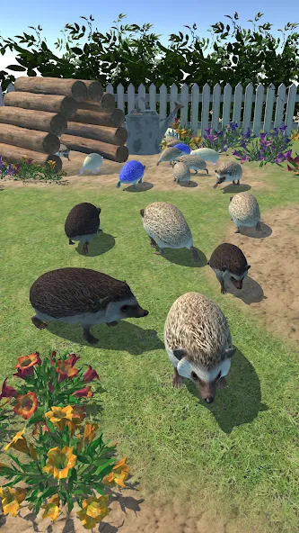 Скачать взлом Hedgehog Friends (Хеджхог Френдс)  [МОД Mega Pack] — стабильная версия apk на Андроид screen 3