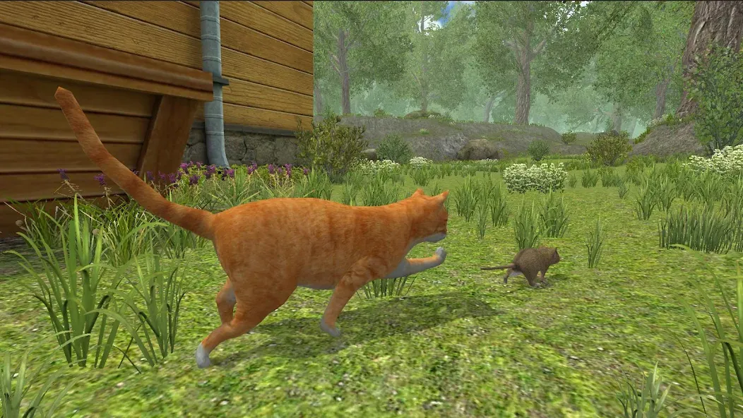 Скачать взломанную Mouse Simulator :  Forest Home  [МОД Mega Pack] — полная версия apk на Андроид screen 3