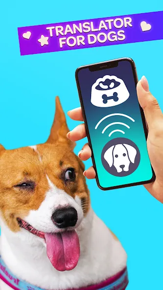 Скачать взломанную Dog Translator Pet Speak Talk  [МОД Unlimited Money] — стабильная версия apk на Андроид screen 1