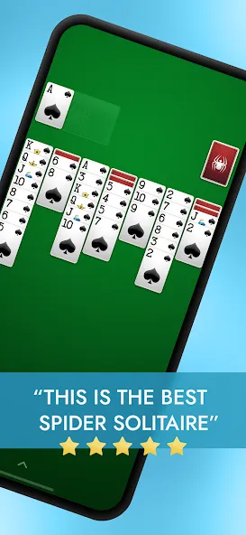 Взлом Spider Solitaire  [МОД Все открыто] — стабильная версия apk на Андроид screen 1