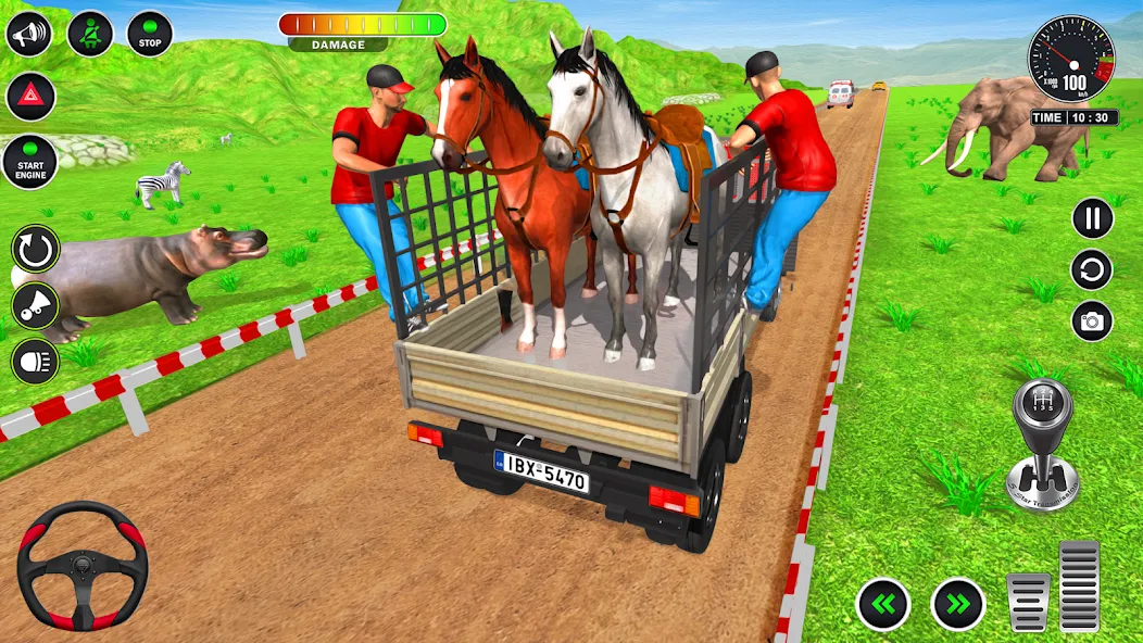 Взлом Animal Transport Truck Game 3D (Игра Грузовик для перевозки животных)  [МОД Бесконечные деньги] — последняя версия apk на Андроид screen 4