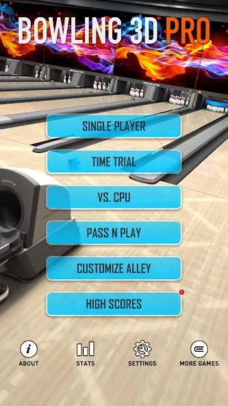 Взломанная Bowling 3D Pro (Боулинг 3D Про)  [МОД Меню] — стабильная версия apk на Андроид screen 4