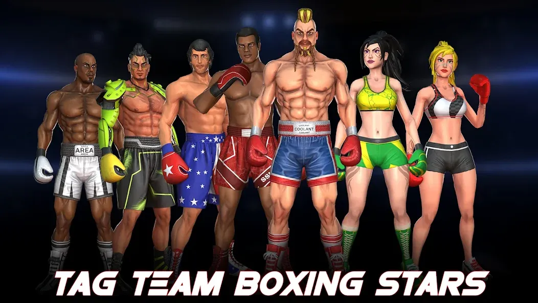 Взлом Boxing Heros: Fighting Games (Тэг Боксинг Игры)  [МОД Много денег] — последняя версия apk на Андроид screen 5