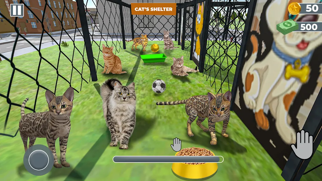 Скачать взлом Animal Shelter: Pet Rescue 3D  [МОД Бесконечные монеты] — последняя версия apk на Андроид screen 2