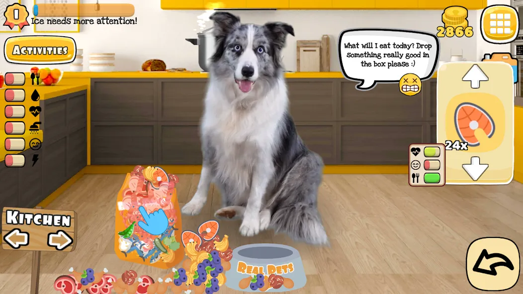 Скачать взлом Adopt a pet : Corgi Games (Риал Петс бай Фруви)  [МОД Menu] — последняя версия apk на Андроид screen 1