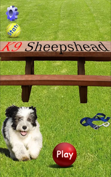 Скачать взломанную K9 Sheepshead (Schafkopf) (Шипсхед)  [МОД Unlocked] — полная версия apk на Андроид screen 1