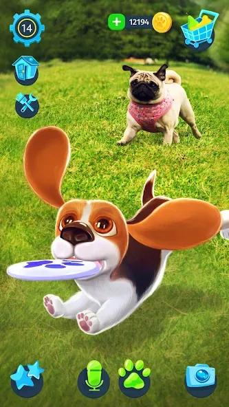 Взлом Tamadog — Puppy Pet Dog Games (Тамадог)  [МОД Menu] — стабильная версия apk на Андроид screen 3