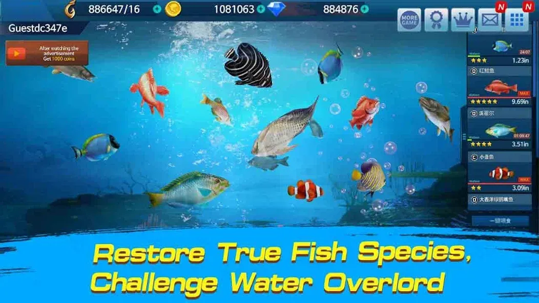 Взлом Fishing Championship  [МОД Unlocked] — стабильная версия apk на Андроид screen 2