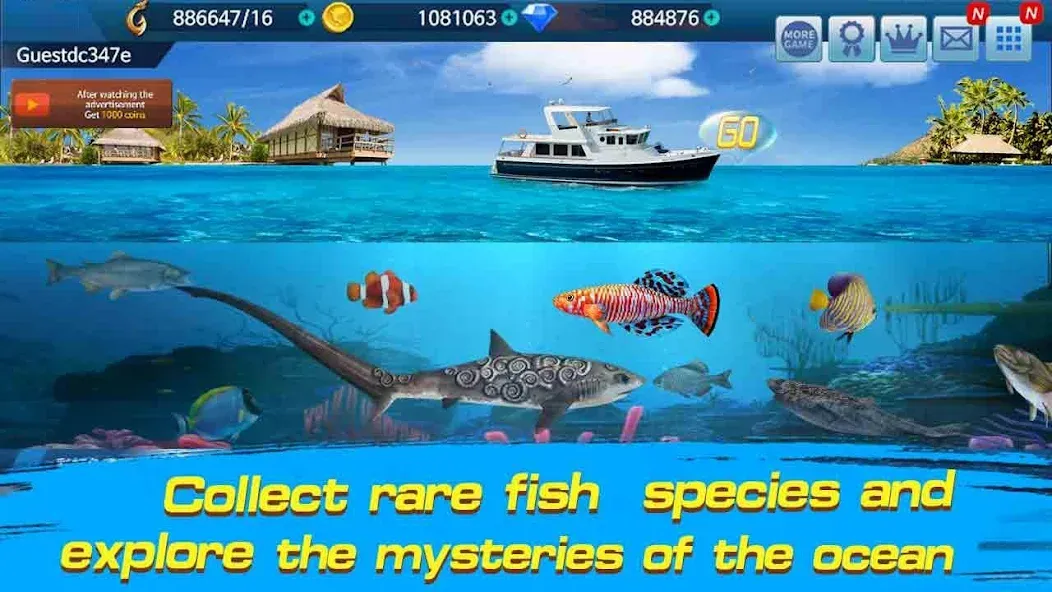 Взлом Fishing Championship  [МОД Unlocked] — стабильная версия apk на Андроид screen 3