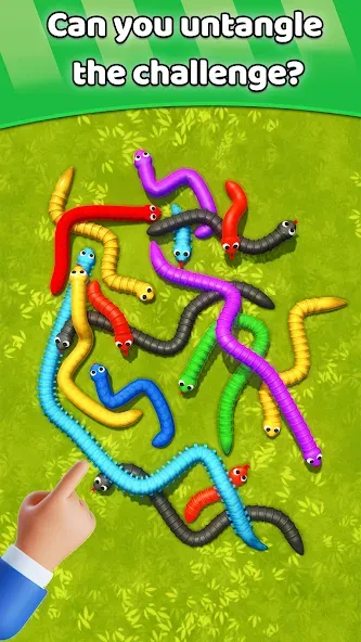 Скачать взломанную Tangled Snakes Puzzle Game (Танглед Снейк 3Д)  [МОД Unlocked] — полная версия apk на Андроид screen 5