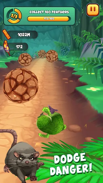 Взлом Kakapo Run: Animal Rescue Game (Какапо Ран)  [МОД Бесконечные деньги] — полная версия apk на Андроид screen 4