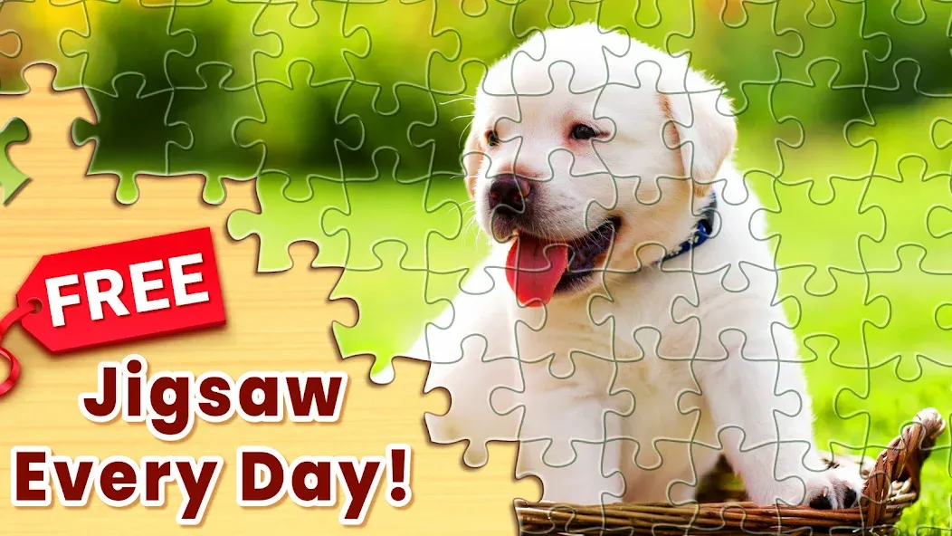 Взломанная Jigsaw Puzzles: Picture Puzzle  [МОД Много монет] — полная версия apk на Андроид screen 5