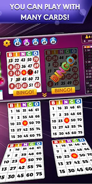 Скачать взломанную Bingo — Offline Bingo Game  [МОД Unlimited Money] — последняя версия apk на Андроид screen 1