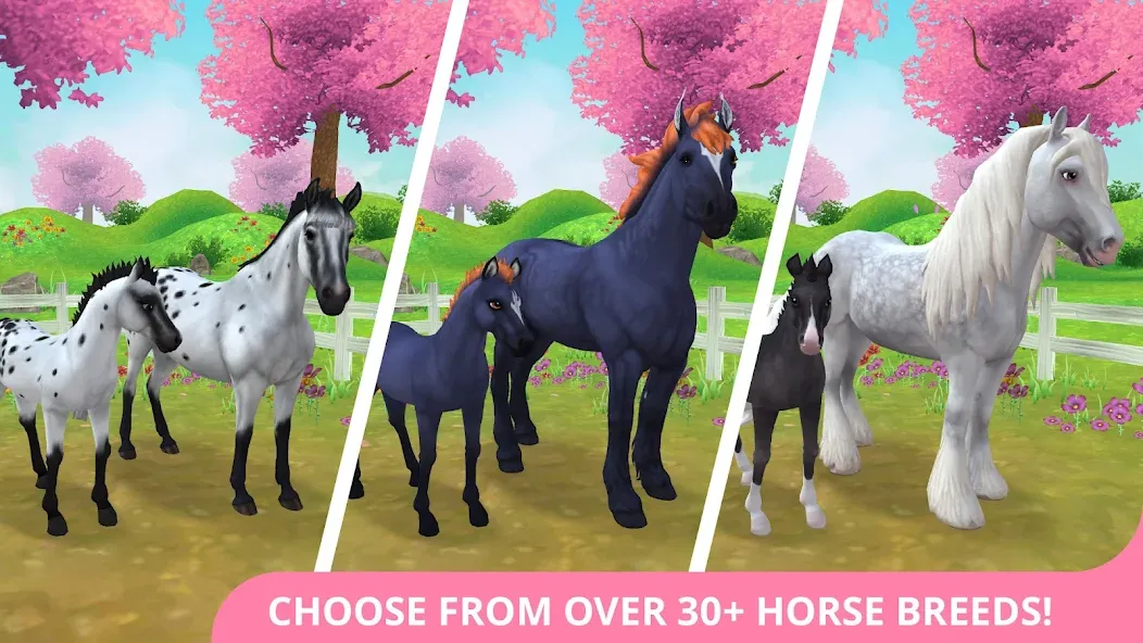 Взлом Star Stable Horses (СТар Стабл Хорсес)  [МОД Все открыто] — стабильная версия apk на Андроид screen 1