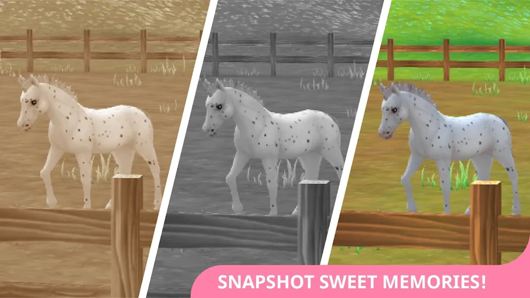 Взлом Star Stable Horses (СТар Стабл Хорсес)  [МОД Все открыто] — стабильная версия apk на Андроид screen 4