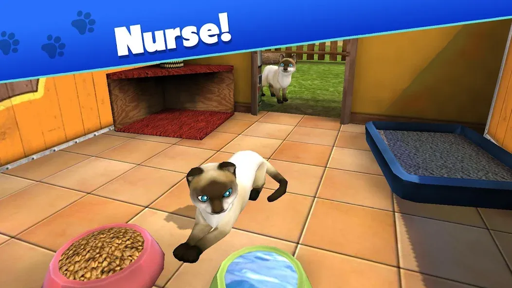 Взлом Pet World — My Animal Shelter (Пет Ворлд)  [МОД Все открыто] — полная версия apk на Андроид screen 3