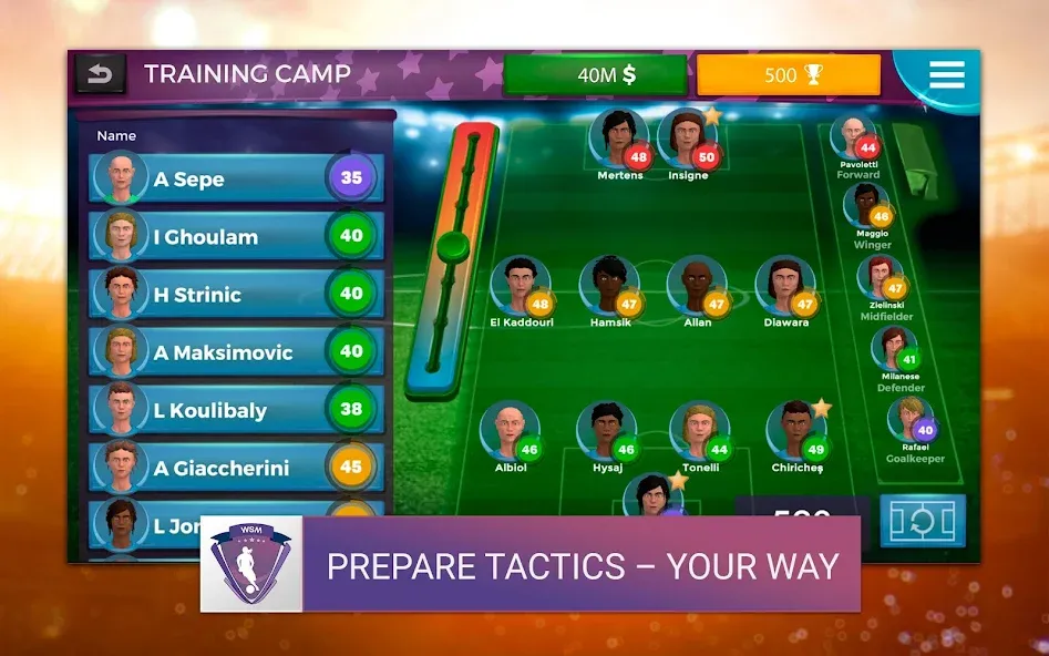 Взломанная WSM — Women's Soccer Manager (ВСМ)  [МОД Меню] — стабильная версия apk на Андроид screen 5