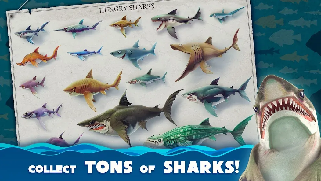 Скачать взлом Hungry Shark World (Хангри Шарк Ворлд)  [МОД Unlocked] — стабильная версия apk на Андроид screen 2