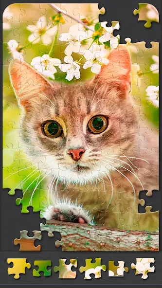 Скачать взлом Jigsaw Puzzles for Adults  [МОД Много денег] — полная версия apk на Андроид screen 5