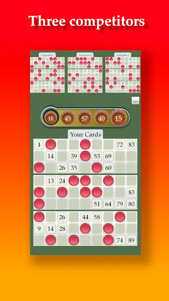 Взлом Lotto  [МОД Mega Pack] — последняя версия apk на Андроид screen 3