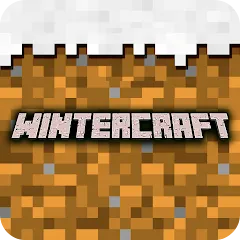 Winter Craft - Block Craft