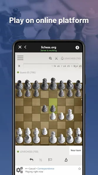 Скачать взлом Chessnut (Честнат)  [МОД Unlocked] — последняя версия apk на Андроид screen 2