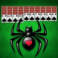 Spider Solitaire - Card Games