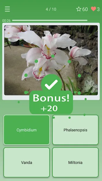 Скачать взломанную Quiz: Flowers, Plants  [МОД Mega Pack] — стабильная версия apk на Андроид screen 2