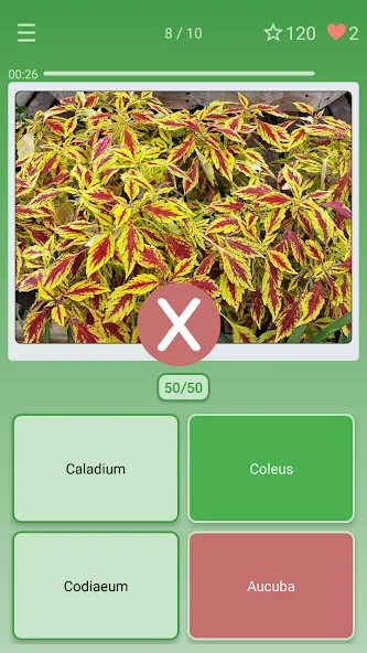 Скачать взломанную Quiz: Flowers, Plants  [МОД Mega Pack] — стабильная версия apk на Андроид screen 3